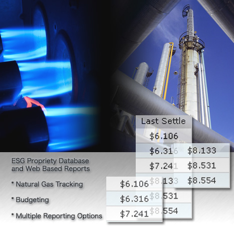 Energy Service Group